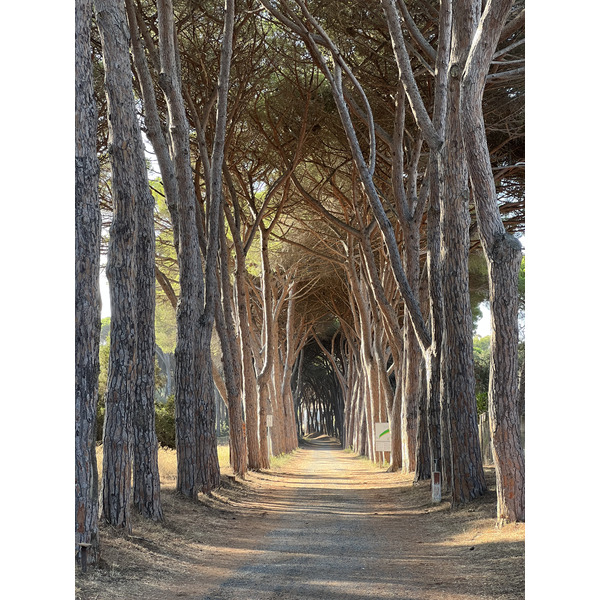 Picture Italy Orbetello 2021-09 0 - History Orbetello