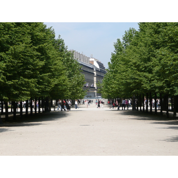 Picture France Paris Garden of Tuileries 2007-05 374 - Discovery Garden of Tuileries