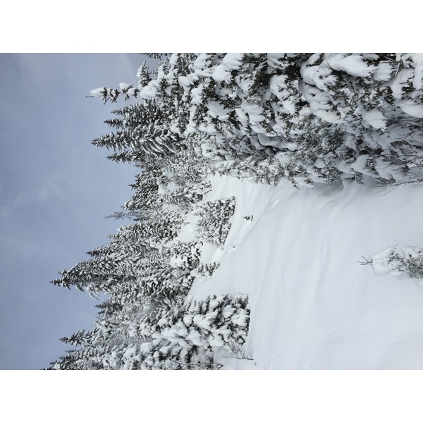 Picture France Megeve 2016-02 29 - Center Megeve