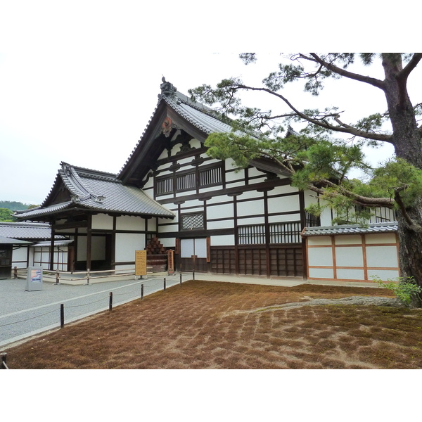 Picture Japan Kyoto Kinkakuji Temple(Golden Pavilion) 2010-06 2 - Tours Kinkakuji Temple(Golden Pavilion)