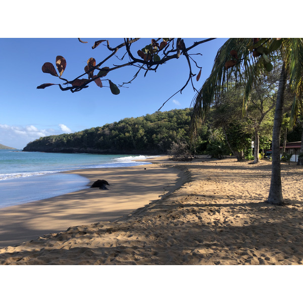 Picture Guadeloupe La Perle Beach 2021-02 91 - Tour La Perle Beach