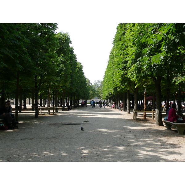 Picture France Paris Garden of Tuileries 2007-05 380 - Discovery Garden of Tuileries