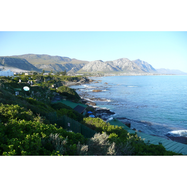 Picture South Africa Harmanus 2008-09 118 - Around Harmanus