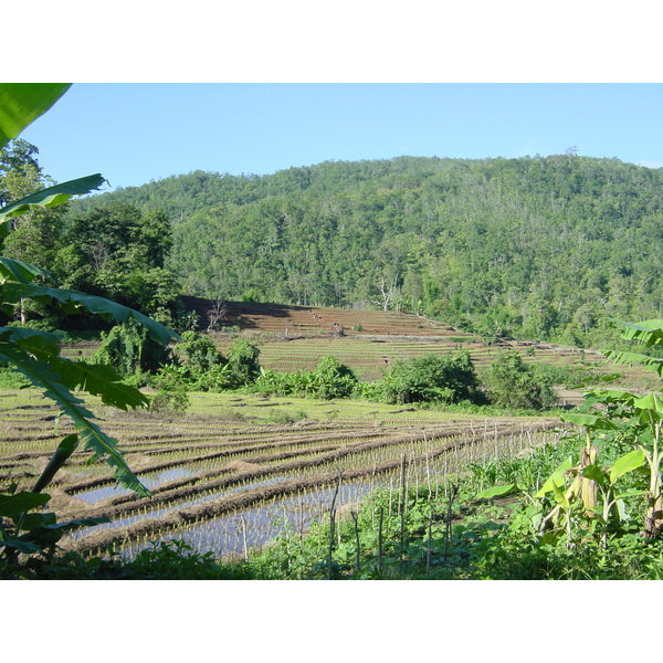 Picture Thailand Mae Hong Son 2003-07 48 - Center Mae Hong Son