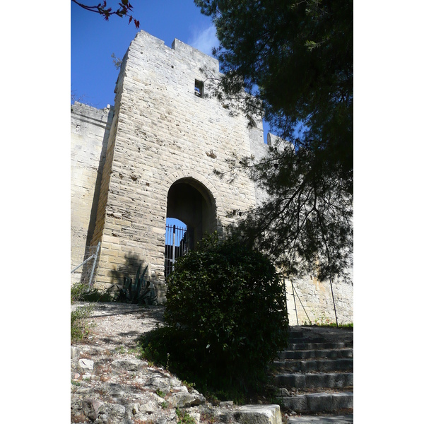 Picture France Beaucaire Beaucaire castle 2008-04 4 - Recreation Beaucaire castle