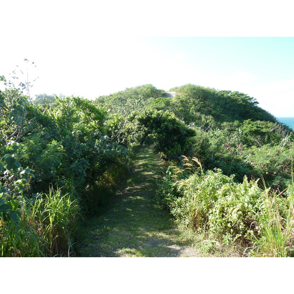 Picture Fiji Sigatoka sand dunes national park 2010-05 1 - Center Sigatoka sand dunes national park