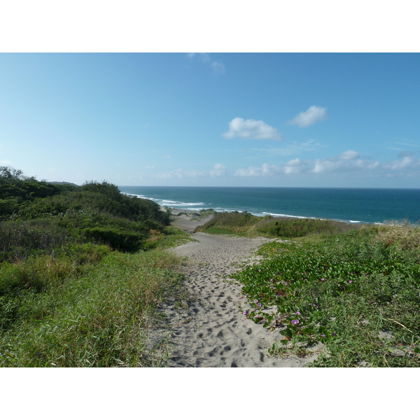 Picture Fiji Sigatoka sand dunes national park 2010-05 7 - Tours Sigatoka sand dunes national park