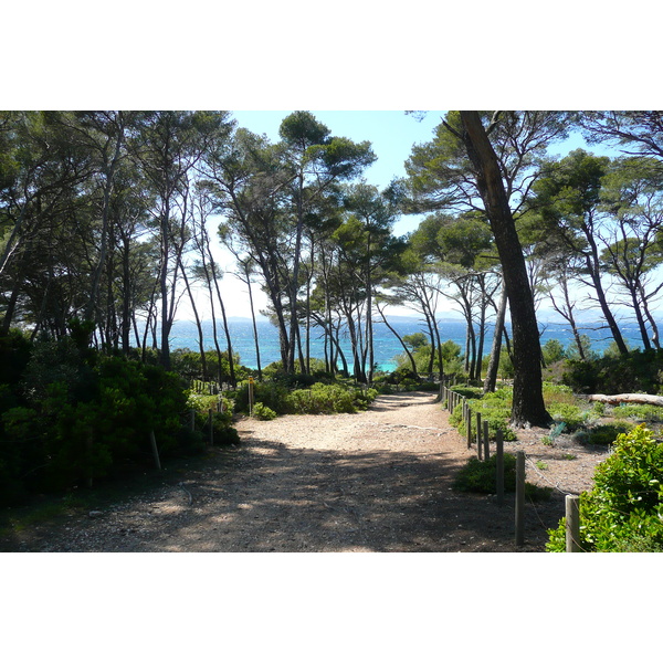 Picture France Porquerolles Island Pointe du Lequin 2008-05 67 - Discovery Pointe du Lequin