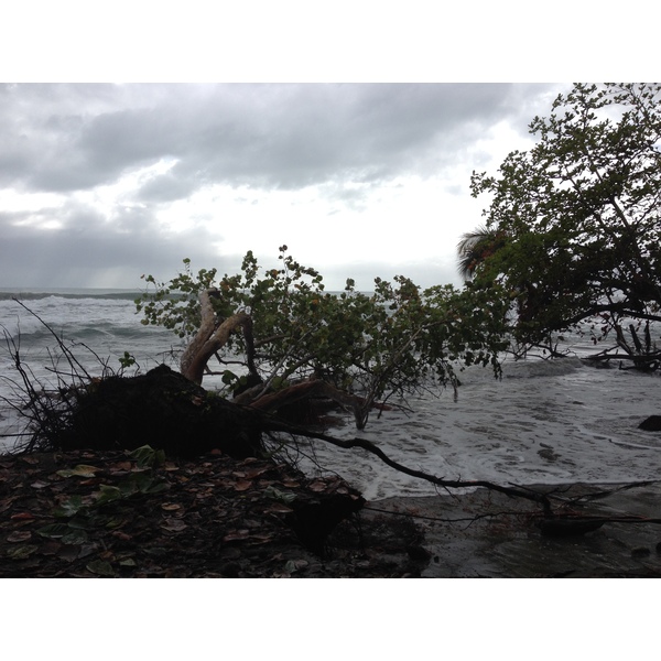 Picture Costa Rica Cahuita 2015-03 172 - Tours Cahuita