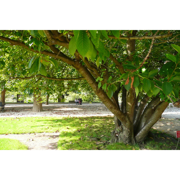 Picture France Paris Jardin des Plantes 2007-08 169 - Tour Jardin des Plantes