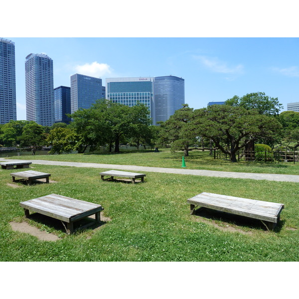 Picture Japan Tokyo Hama rikyu Gardens 2010-06 6 - Journey Hama rikyu Gardens