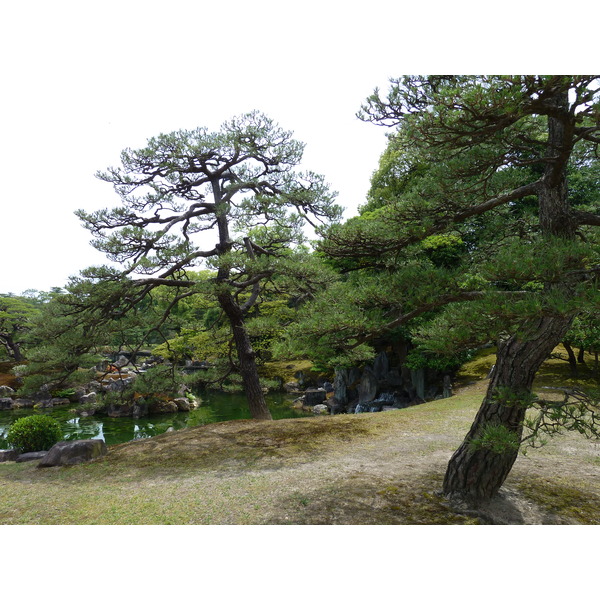 Picture Japan Kyoto Nijo Castle Ninomaru Garden 2010-06 25 - Journey Ninomaru Garden