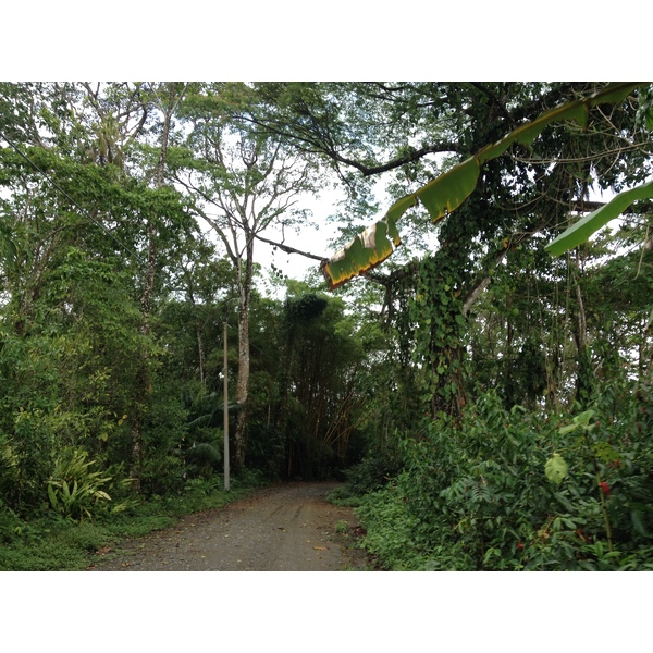 Picture Costa Rica Cahuita 2015-03 87 - Discovery Cahuita