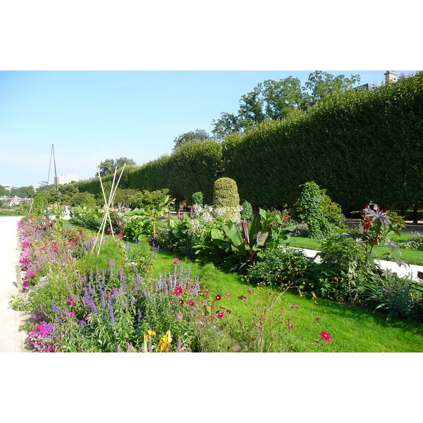 Picture France Paris Jardin des Plantes 2007-08 20 - Tours Jardin des Plantes