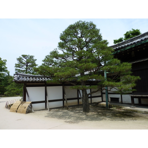 Picture Japan Kyoto Nijo Castle 2010-06 76 - Discovery Nijo Castle