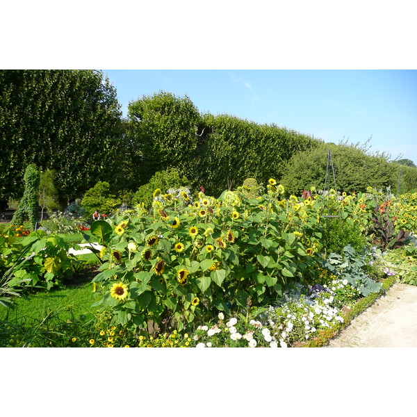 Picture France Paris Jardin des Plantes 2007-08 21 - Tour Jardin des Plantes