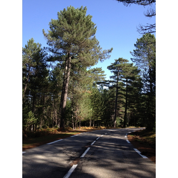 Picture France Corsica L'ospedale Forest 2012-09 64 - Tours L'ospedale Forest