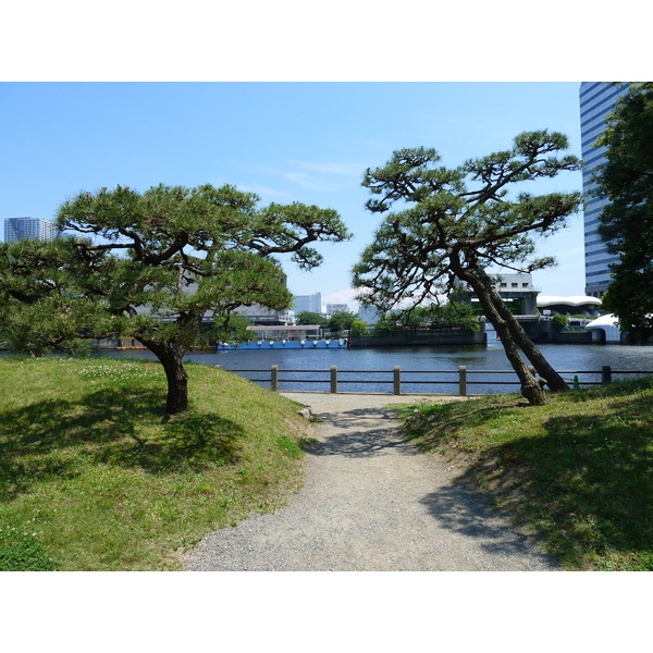 Picture Japan Tokyo Hama rikyu Gardens 2010-06 21 - Center Hama rikyu Gardens