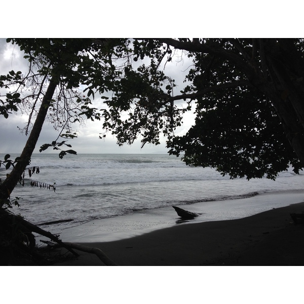 Picture Costa Rica Cahuita 2015-03 207 - Journey Cahuita