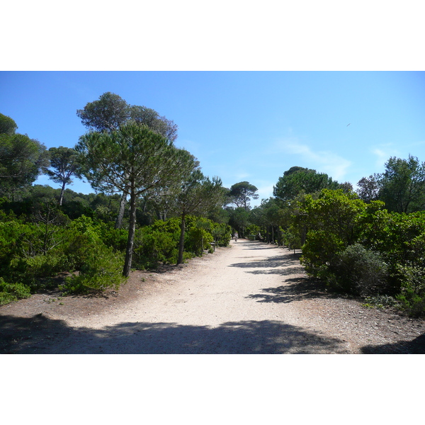 Picture France Porquerolles Island Plaine de la courtade 2008-05 2 - Around Plaine de la courtade