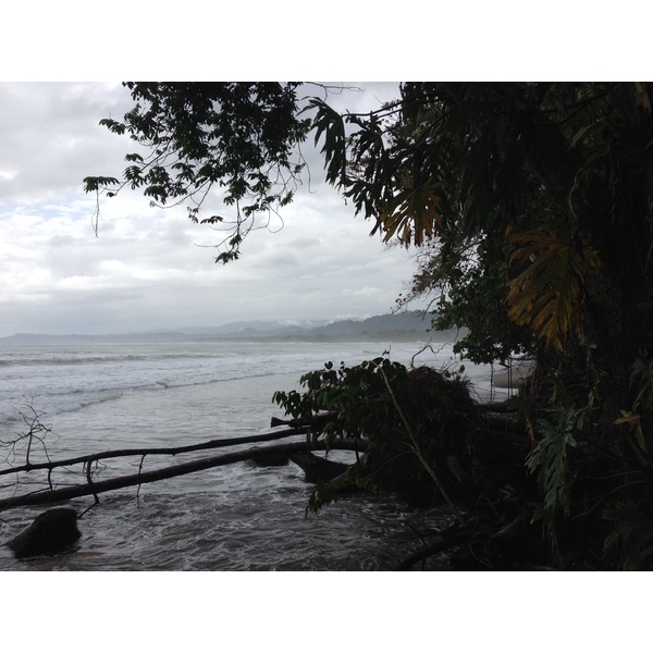 Picture Costa Rica Cahuita 2015-03 161 - Around Cahuita