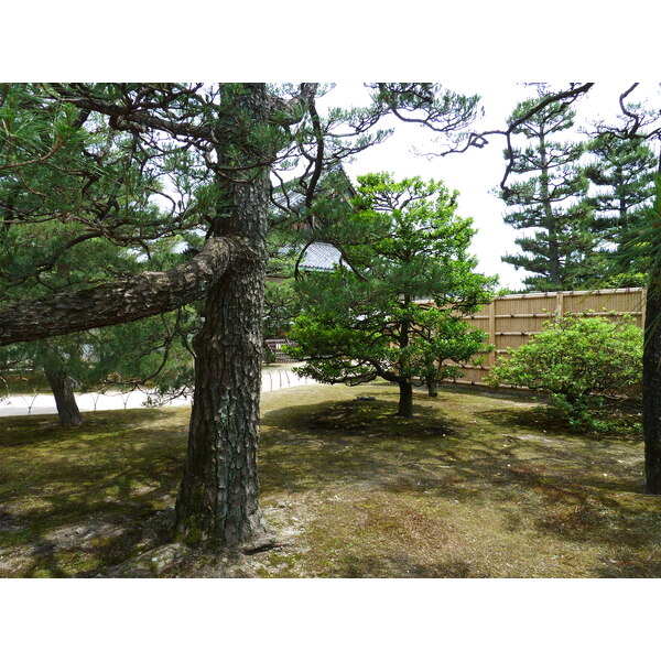 Picture Japan Kyoto Nijo Castle 2010-06 91 - History Nijo Castle