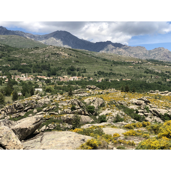 Picture France Corsica Aitone Forest 2021-06 10 - Tour Aitone Forest