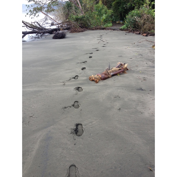 Picture Costa Rica Cahuita 2015-03 174 - Recreation Cahuita