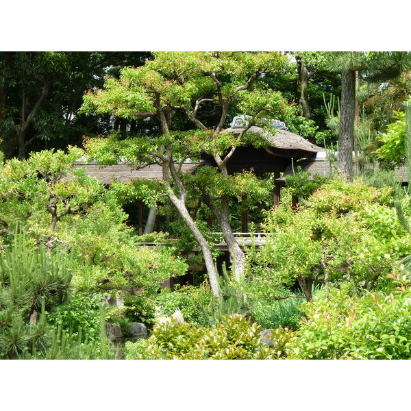 Picture Japan Kyoto Shosei en Garden 2010-06 58 - Discovery Shosei en Garden