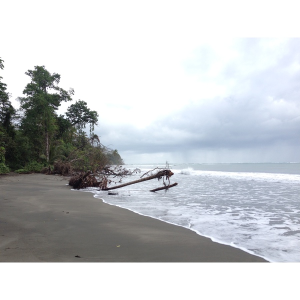 Picture Costa Rica Cahuita 2015-03 171 - Around Cahuita