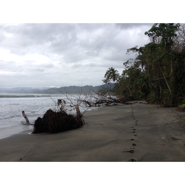 Picture Costa Rica Cahuita 2015-03 146 - Tours Cahuita