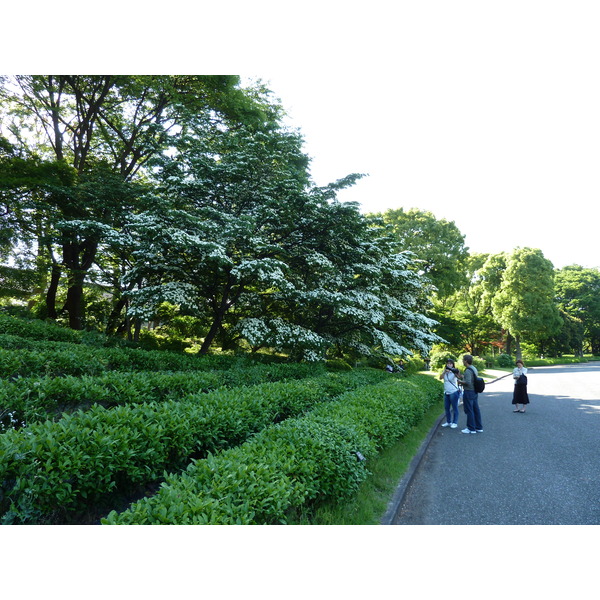 Picture Japan Tokyo Imperial Palace 2010-06 102 - Center Imperial Palace