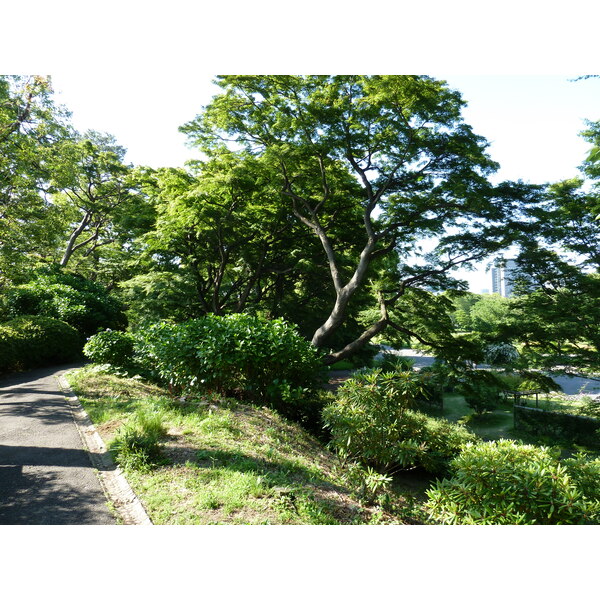 Picture Japan Tokyo Imperial Palace 2010-06 8 - Journey Imperial Palace