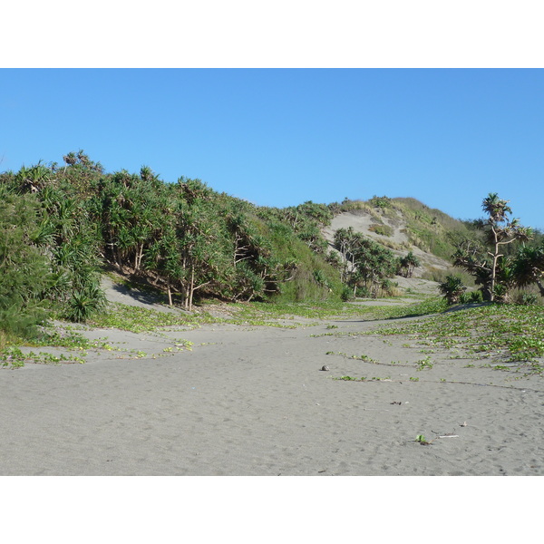 Picture Fiji Sigatoka sand dunes national park 2010-05 36 - Discovery Sigatoka sand dunes national park