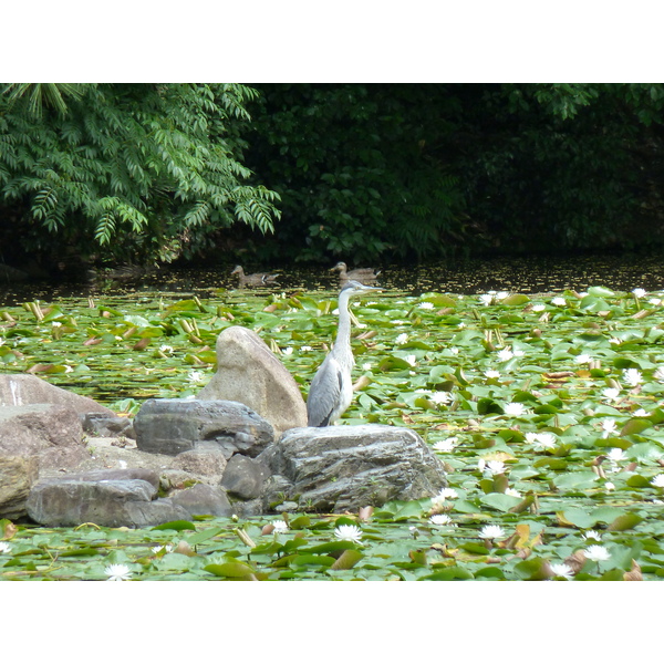 Picture Japan Kyoto Shosei en Garden 2010-06 49 - History Shosei en Garden