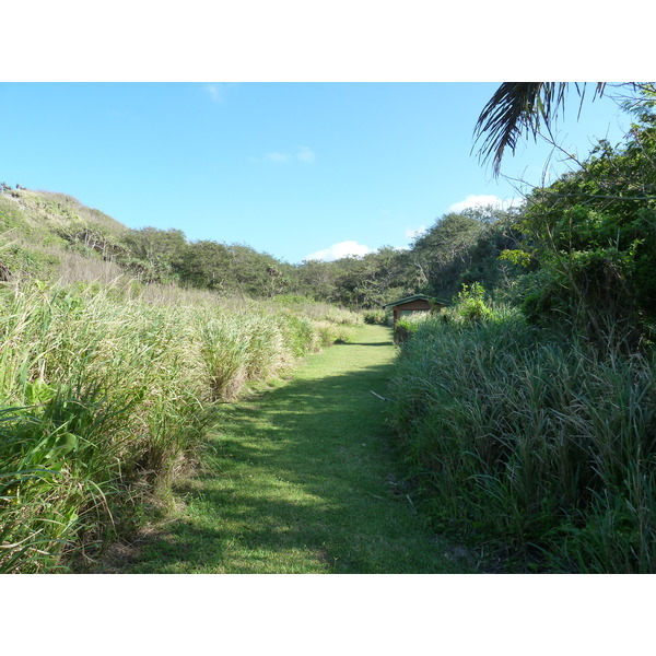 Picture Fiji Sigatoka sand dunes national park 2010-05 35 - Discovery Sigatoka sand dunes national park