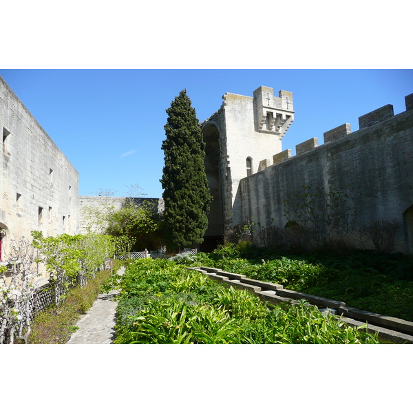 Picture France Tarascon Tarascon Castle 2008-04 170 - Recreation Tarascon Castle