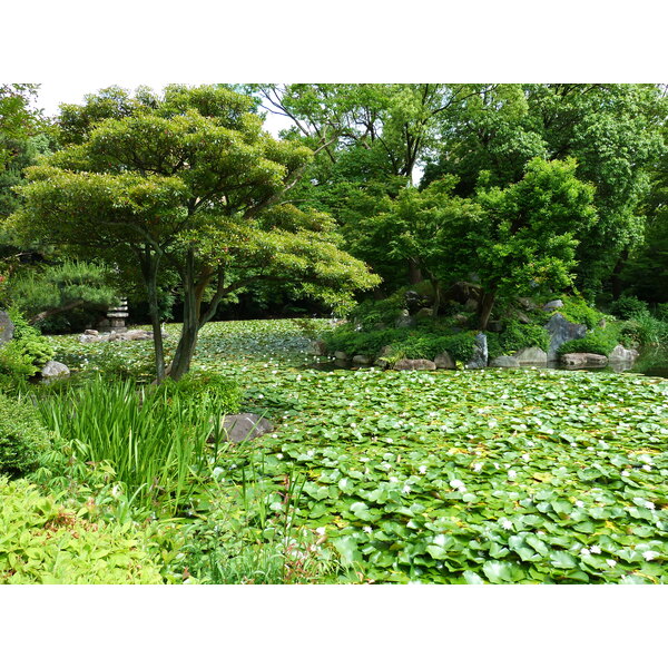 Picture Japan Kyoto Shosei en Garden 2010-06 59 - Journey Shosei en Garden