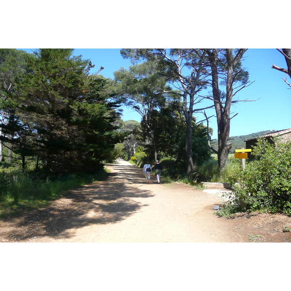 Picture France Porquerolles Island Plaine de la courtade 2008-05 13 - Center Plaine de la courtade