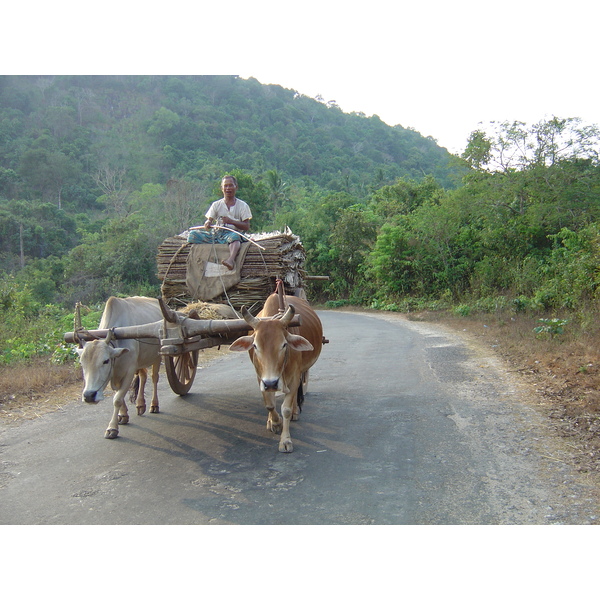 Picture Myanmar Road from Dawei to Maungmagan beach 2005-01 37 - Discovery Road from Dawei to Maungmagan beach