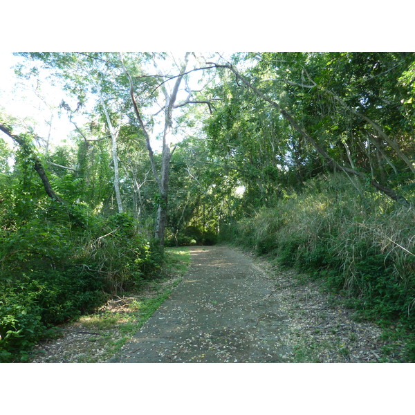 Picture Fiji Sigatoka sand dunes national park 2010-05 45 - Around Sigatoka sand dunes national park