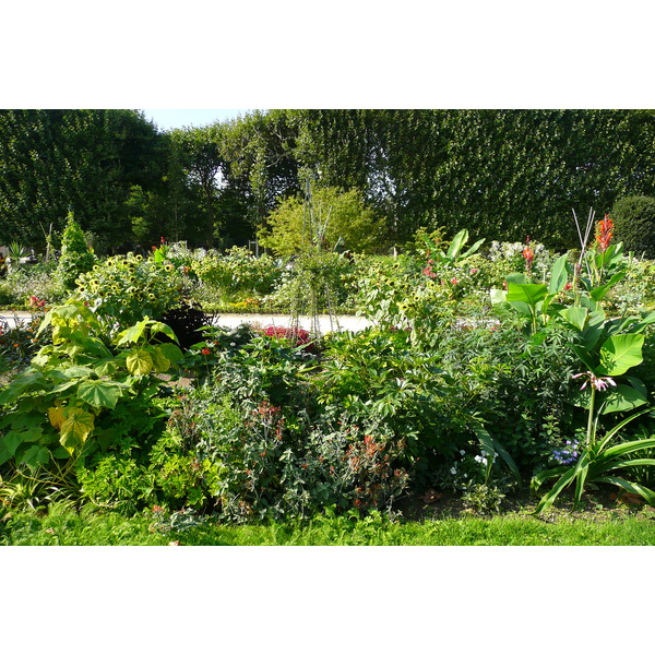 Picture France Paris Jardin des Plantes 2007-08 8 - Center Jardin des Plantes