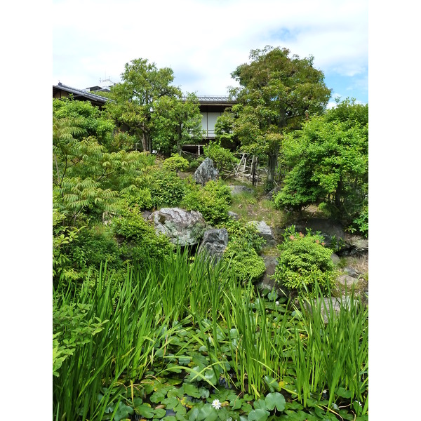 Picture Japan Kyoto Shosei en Garden 2010-06 73 - Discovery Shosei en Garden