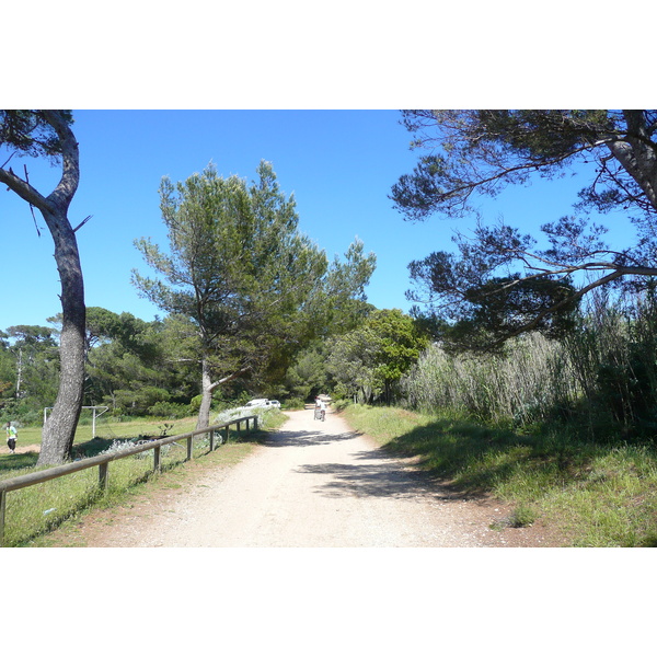 Picture France Porquerolles Island Plaine de la courtade 2008-05 3 - Discovery Plaine de la courtade