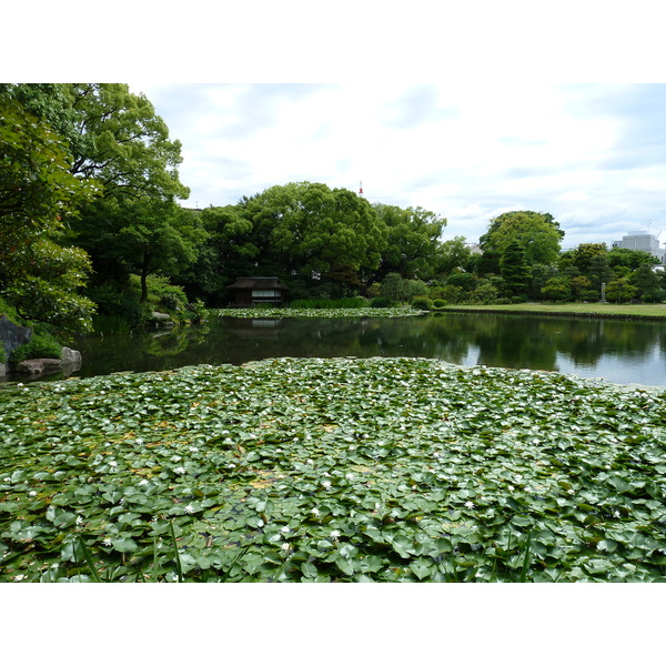 Picture Japan Kyoto Shosei en Garden 2010-06 71 - Discovery Shosei en Garden