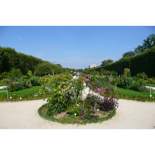 Picture France Paris Jardin des Plantes 2007-08 36 - Discovery Jardin des Plantes