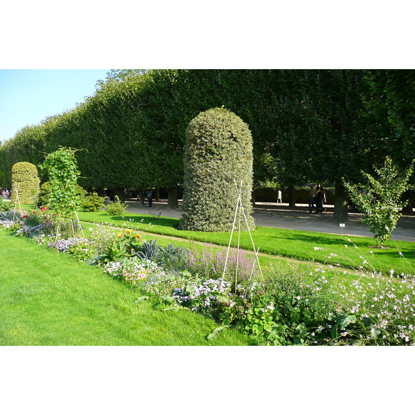 Picture France Paris Jardin des Plantes 2007-08 48 - Journey Jardin des Plantes