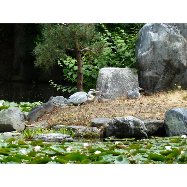 Picture Japan Kyoto Shosei en Garden 2010-06 5 - Tour Shosei en Garden