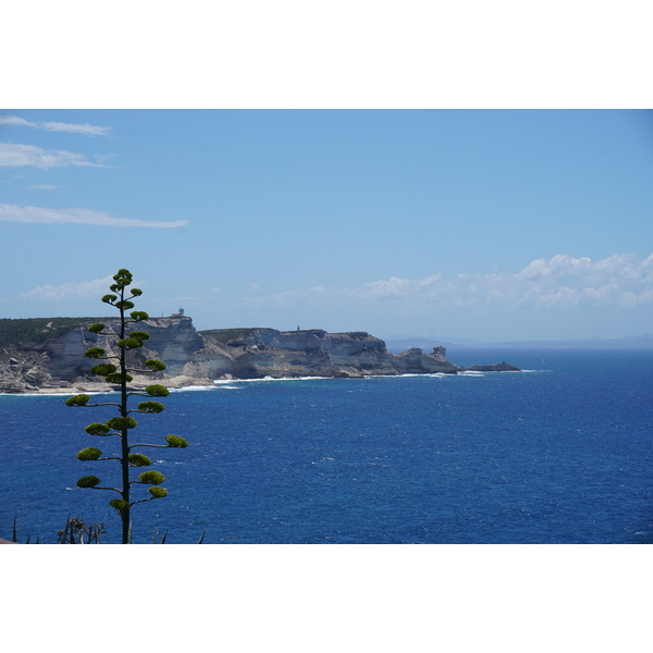 Picture France Corsica Bonifacio 2017-07 45 - Center Bonifacio