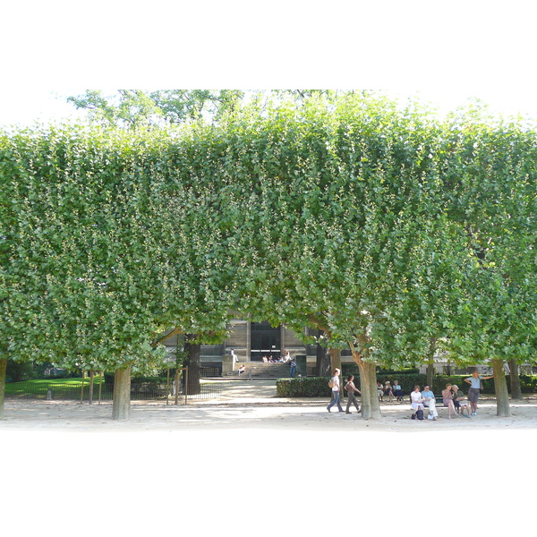 Picture France Paris Jardin des Plantes 2007-08 187 - Journey Jardin des Plantes